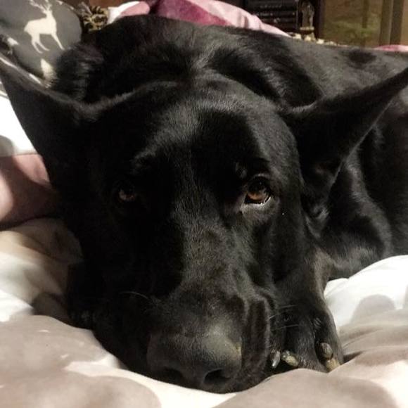 Meet your Posher, Pam - Picture 1 of 1